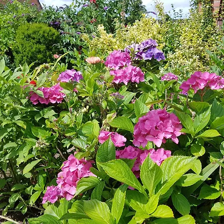 Im Kanalblick Feriehus *