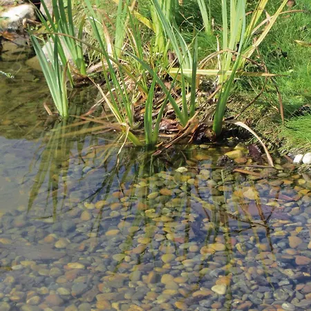 Nyaraló Im Kanalblick